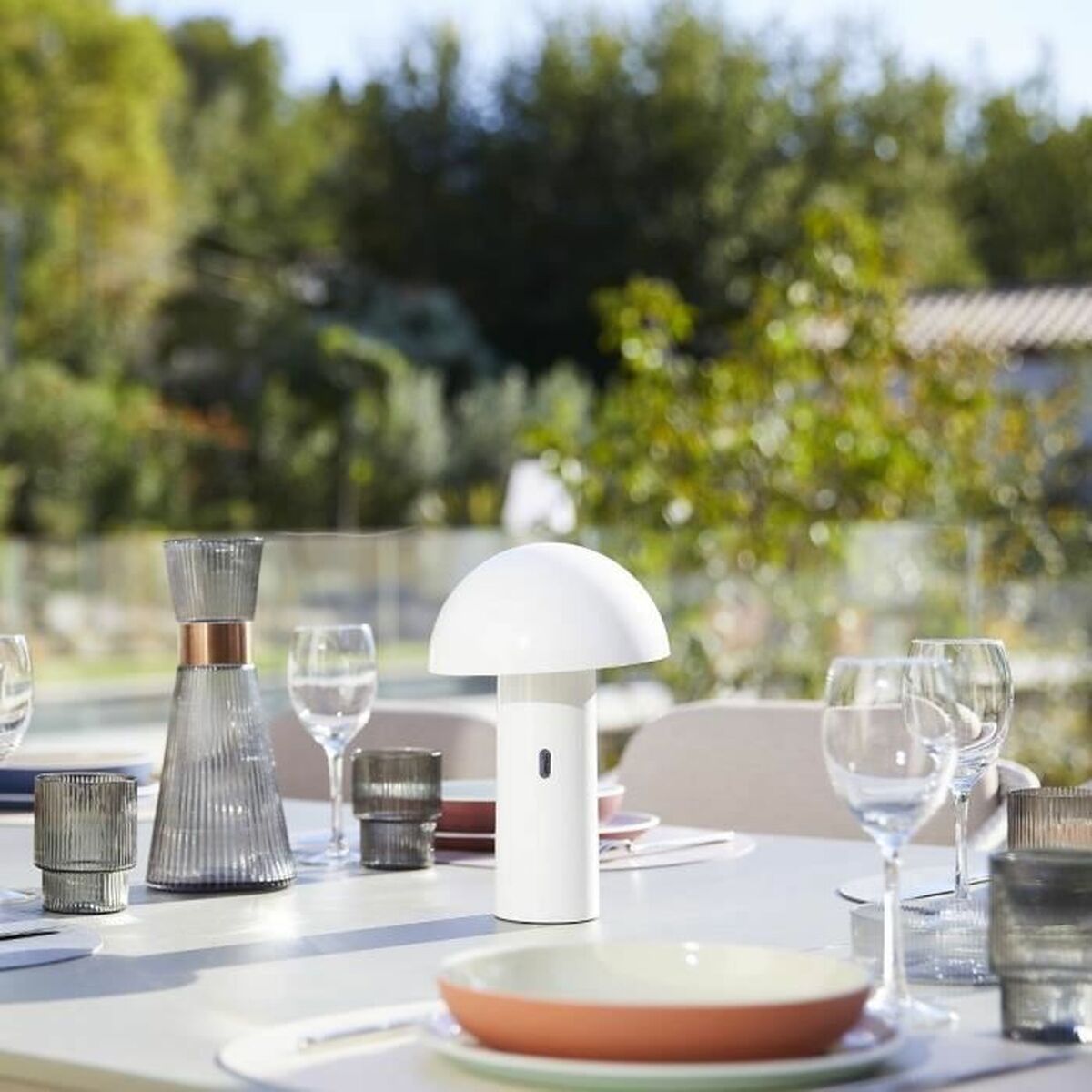 V5H30998C19A52F81150CE3D24C1C2C740BR4421711P6