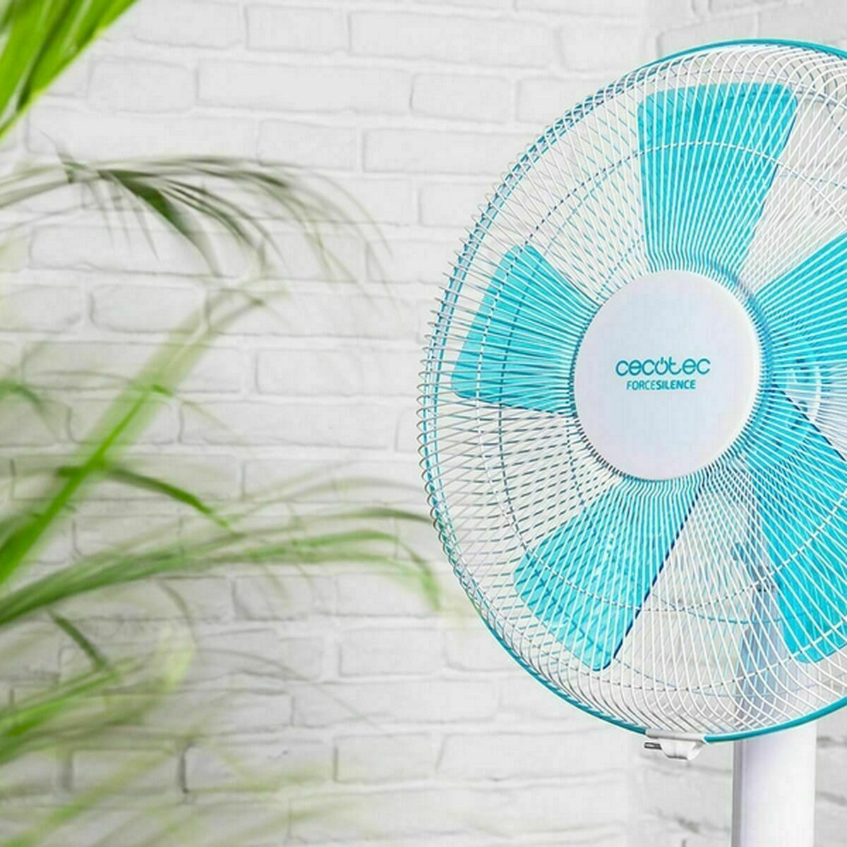 V7HC1C4F32A9BCDF5CF12F48E8E68B73160R7673159P10