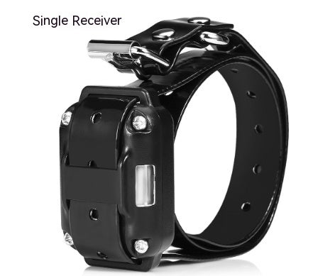 Fjärrstyrd hundträningsenhet Hundhalsband
