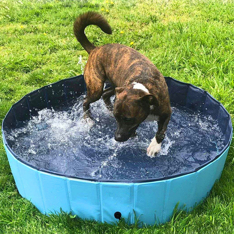 Hopfällbar hundpool Husdjursbad Simbassäng
