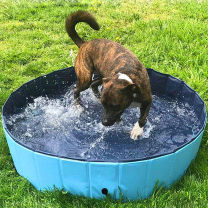 Hopfällbar hundpool Husdjursbad Simbassäng