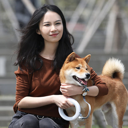 Hundkedja Kopphalsband