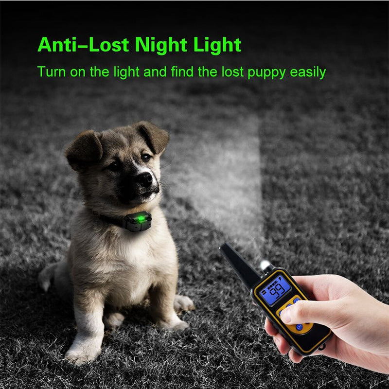 Fjärrstyrd hundträningsenhet Hundhalsband
