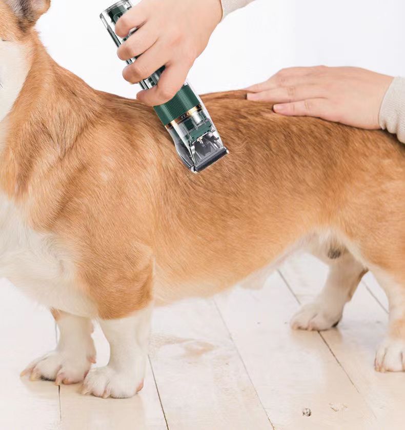 Elektrisk Hårtrimmer  hund & katt