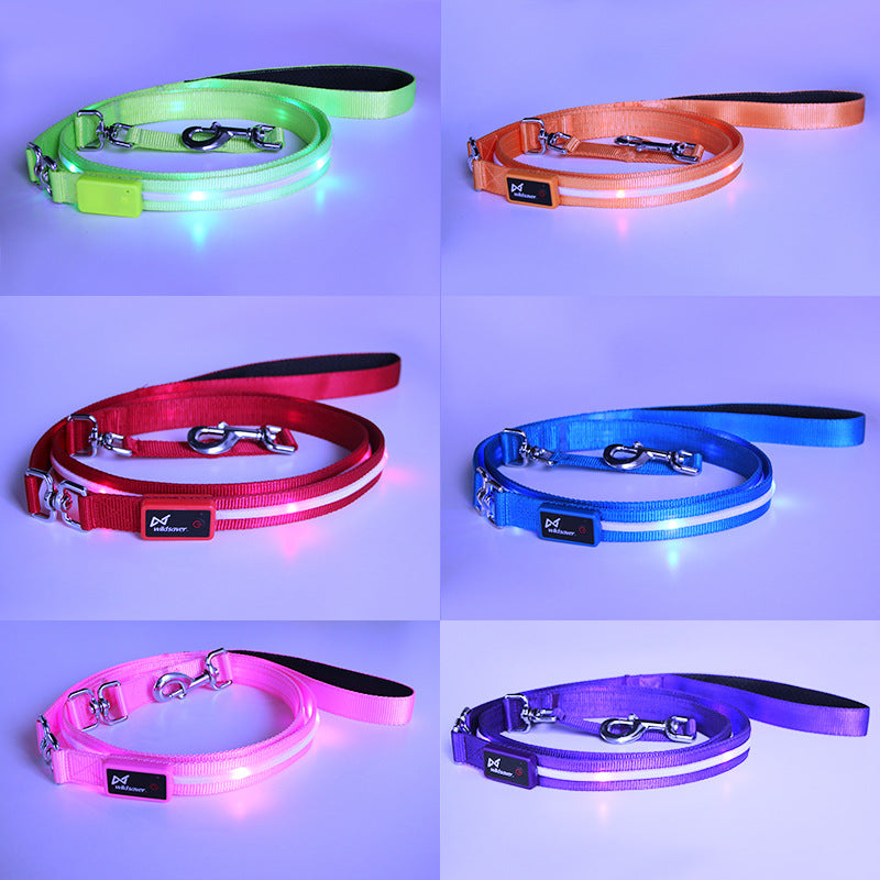Kreativ LED USB-laddningsbar lysande husdjurskoppel
