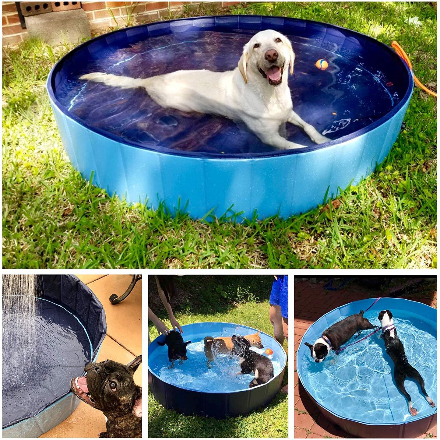 Hopfällbar hundpool Husdjursbad Simbassäng