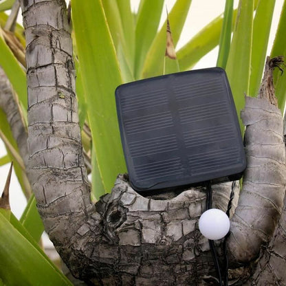 V4H5712F0E4FD7082669D4955D3964551B8R7220113P5