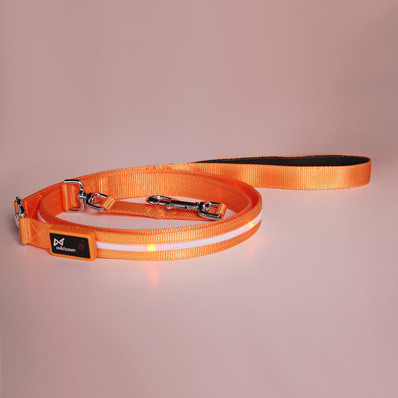 Kreativ LED USB-laddningsbar lysande husdjurskoppel
