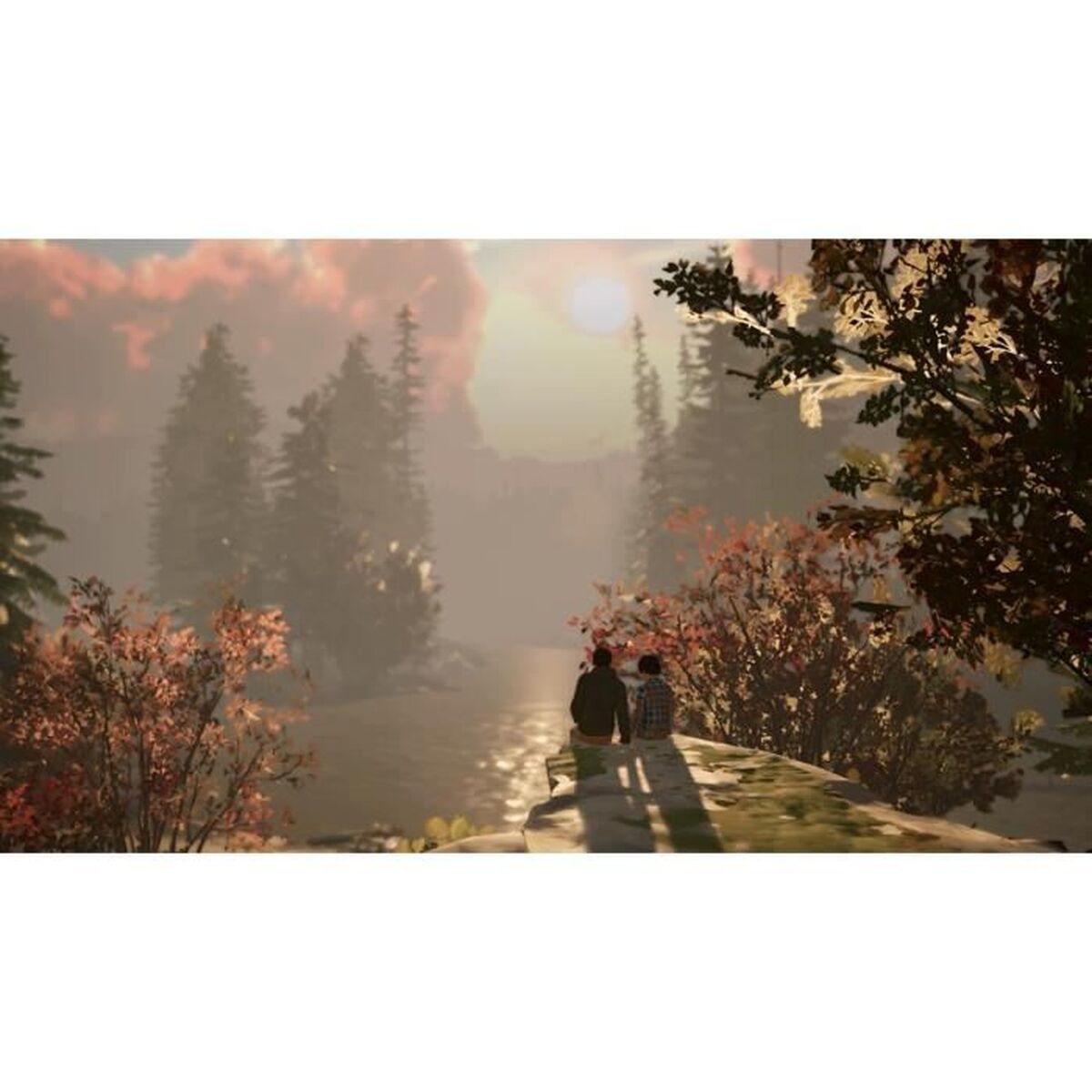 V4H0EAA9EC8C566A91E7F81A9D9E37D0BF8R7369958P10