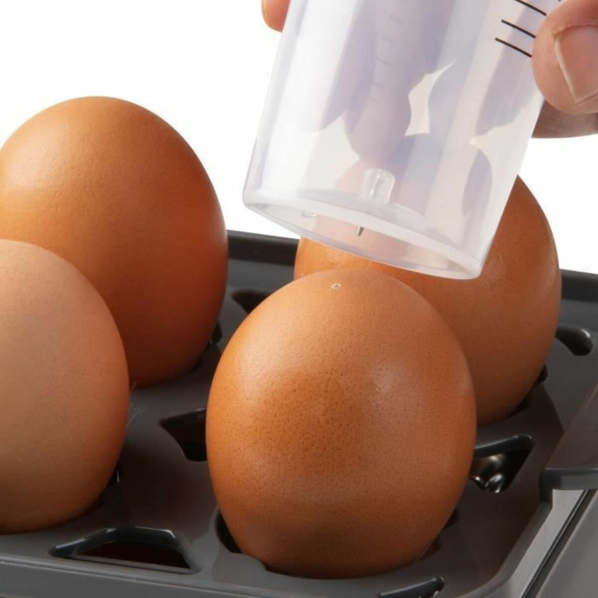 V4H9E19752FC8E4FE00386199824084A0E6R6116587P5