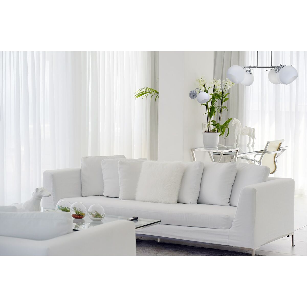 V10H299D55C2017888A5D43DF99BAA7D40A1R6401516P5