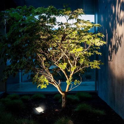 V9H46CEC9FEE11433B3BF62C12A1D73BB02R6423273P10