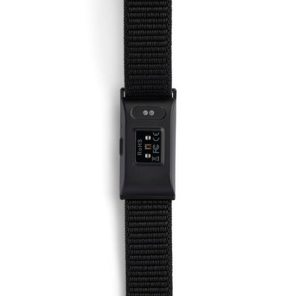 V3H6C58164B5118CE6E4FAFFFA89915D4C1R7477288P2