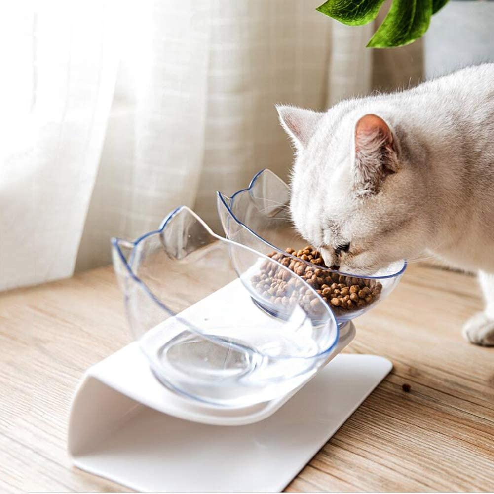 Dubbel katt mat skål