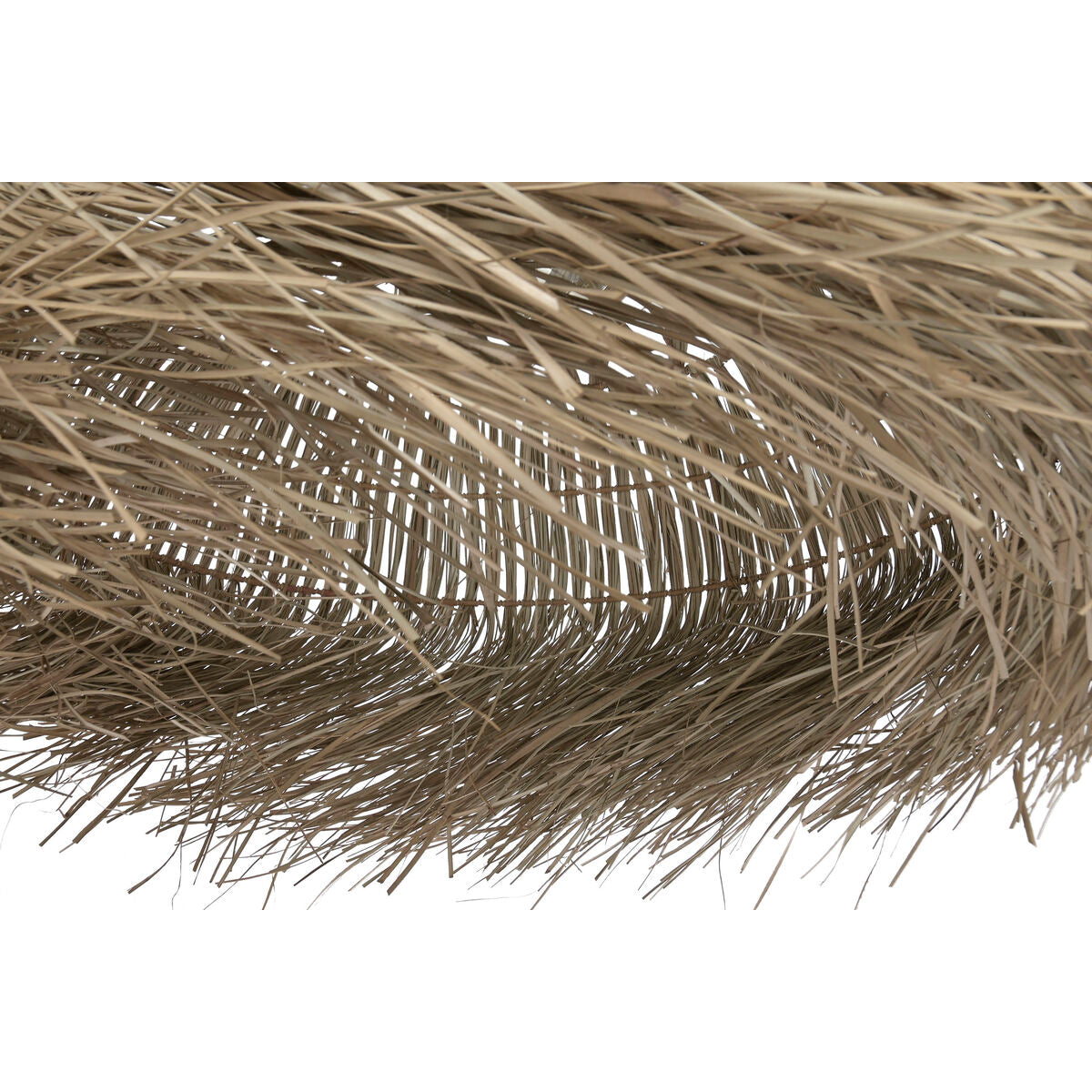 V4H54D44B535504F115897571FCF4AA3925R7472223P6