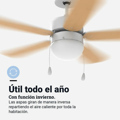 V4H5CBB0EC7EE6828EFD5794A1DAE49A3B4R7163299P5