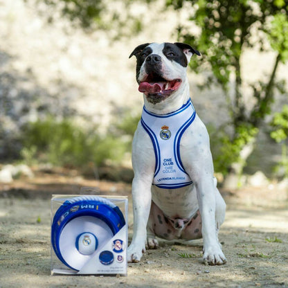 V4H677B3ED1606F718282CC5148C7E44658R7026791P3