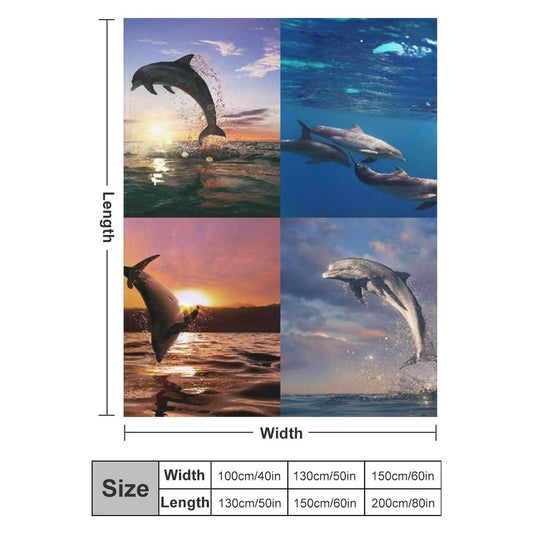 V2H6E5F3BA2351FB001B23F66CEB27D35EER7000783P1