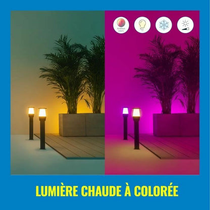 V5H5BCE3559D11B79C5A4A90A677FDEAABBR4269028P3