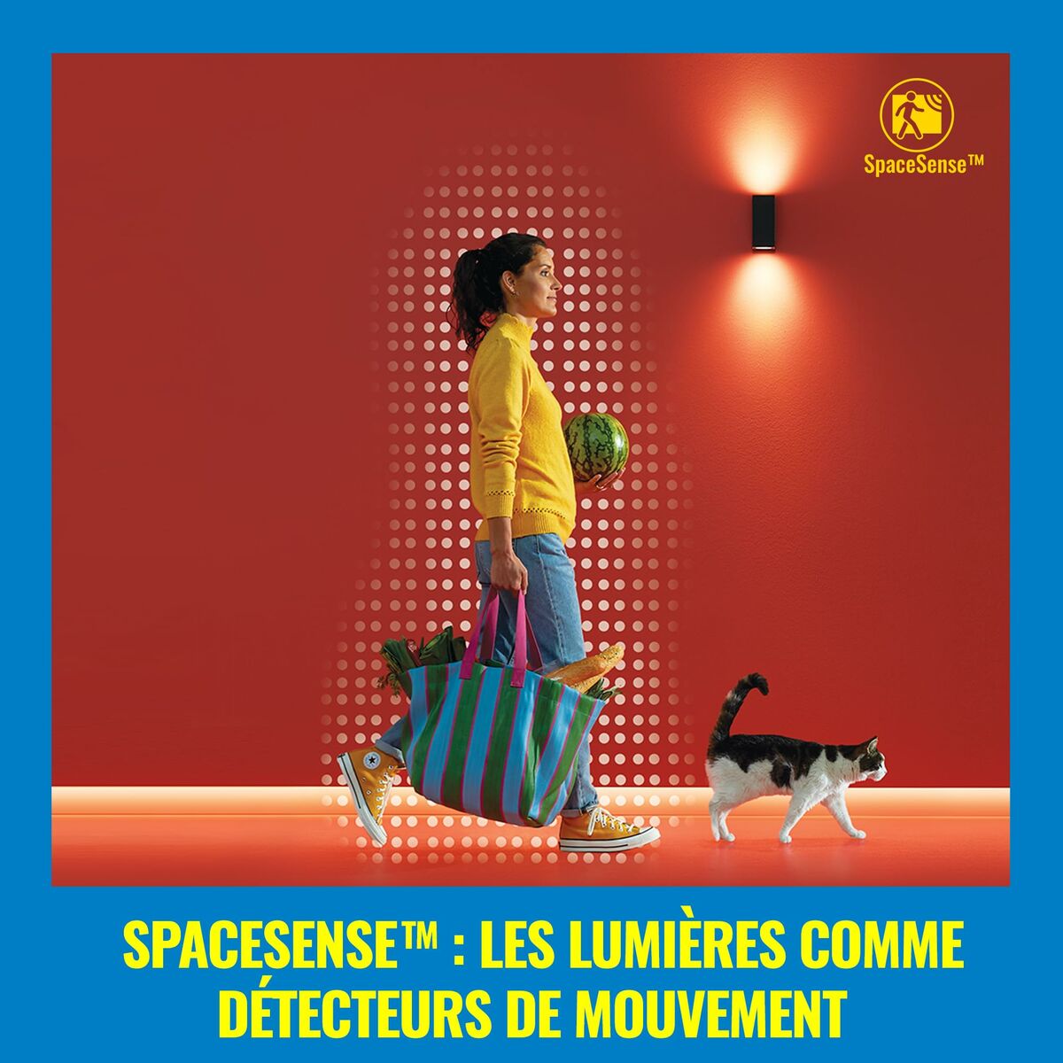 V5H8E169D013C29E71F9C46B722C327A50FR7170019P10