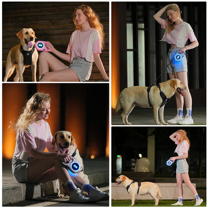 Nytt LED-ljus hundkoppel automatiskt infällbart koppel utomhus coolt