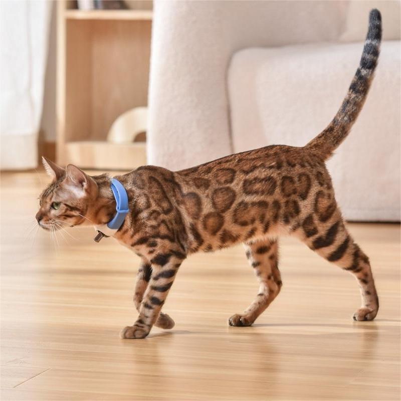 Laserhalsband