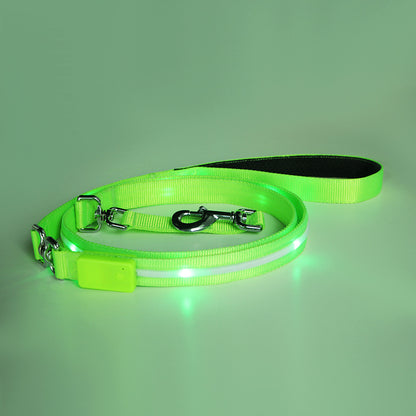 Kreativ LED USB-laddningsbar lysande husdjurskoppel