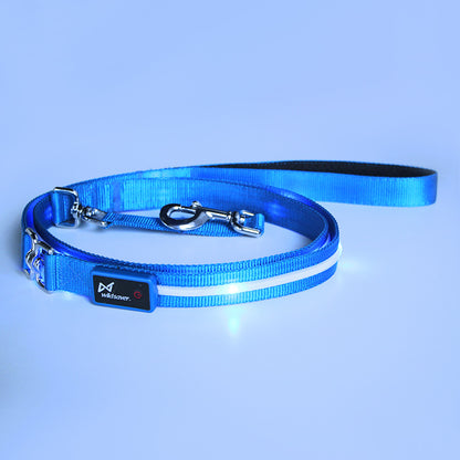 Kreativ LED USB-laddningsbar lysande husdjurskoppel