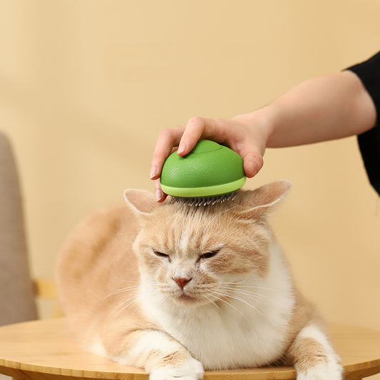 Katt Float Hår Rengöringsnål Kam