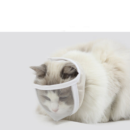 Transparent kattögonmask mot bett och irritation