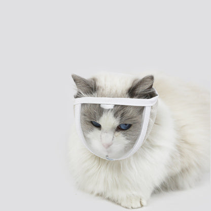 Transparent kattögonmask mot bett och irritation