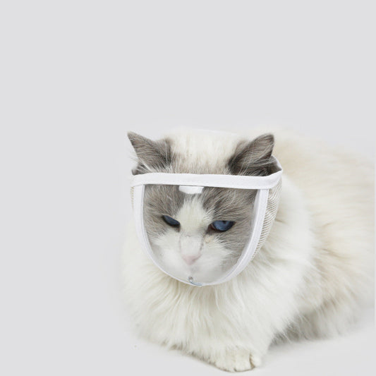 Transparent kattögonmask mot bett och irritation